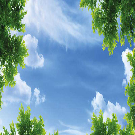 www.chapkhanehonline.ir | آسمان مجازی طرح شماره 8