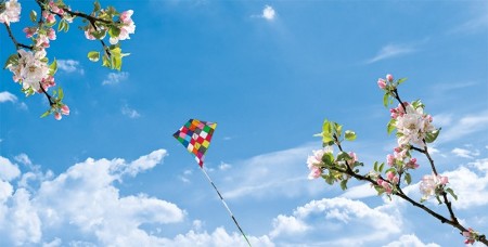 www.chapkhanehonline.ir | آسمان مجازی طرح شماره 18