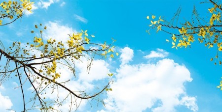 www.chapkhanehonline.ir | آسمان مجازی طرح شماره 27