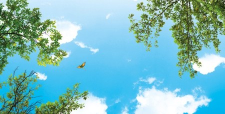 www.chapkhanehonline.ir | آسمان مجازی طرح شماره 30
