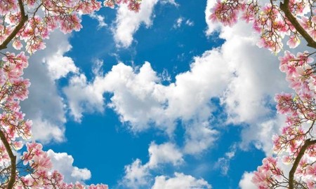 www.chapkhanehonline.ir | آسمان مجازی طرح شماره 31